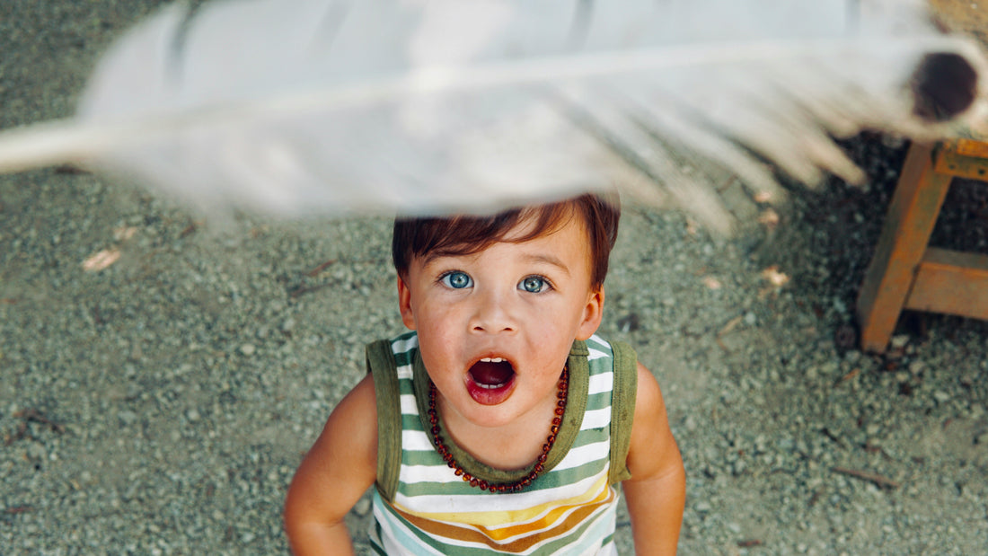 Montessori Key Principles: Absorbent Mind