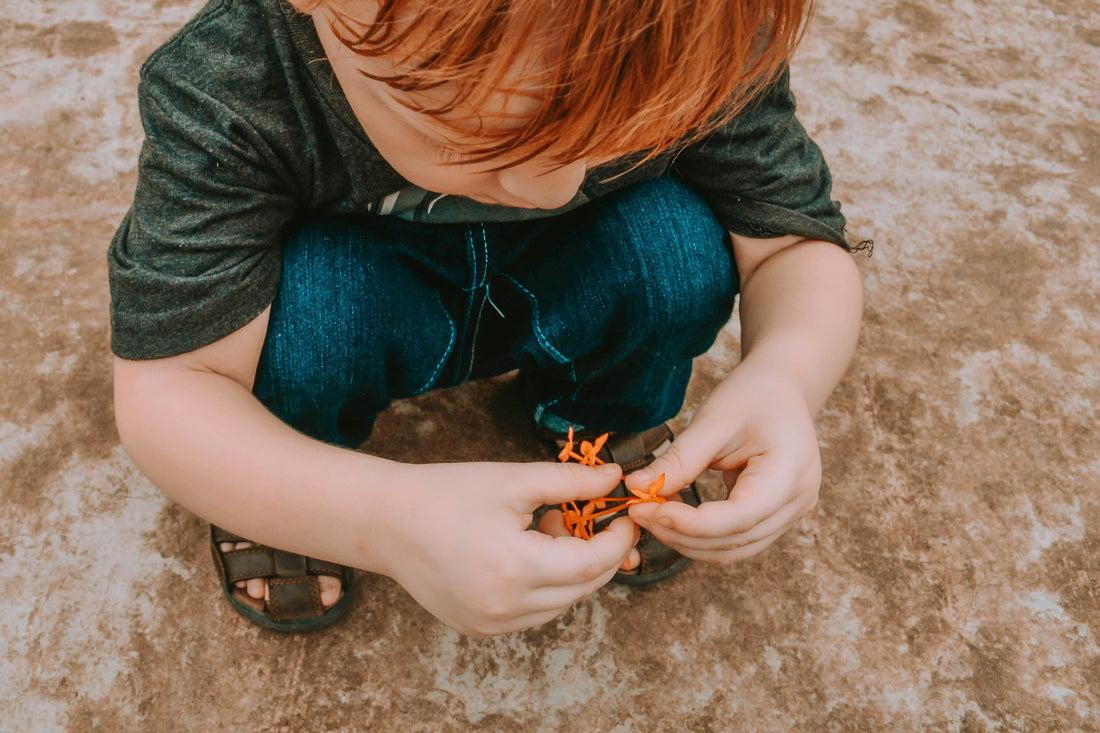 Montessori Key Principles: Natural desire to learn