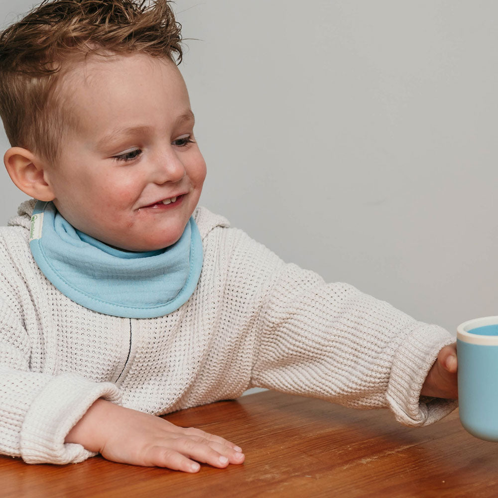 Bandana bibs (set)