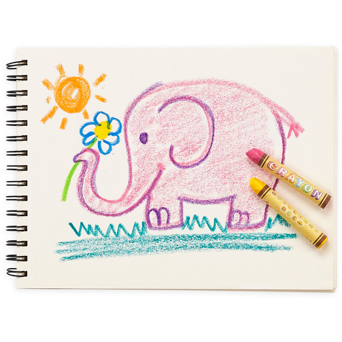 Brilliant Bee Crayons - set of 12