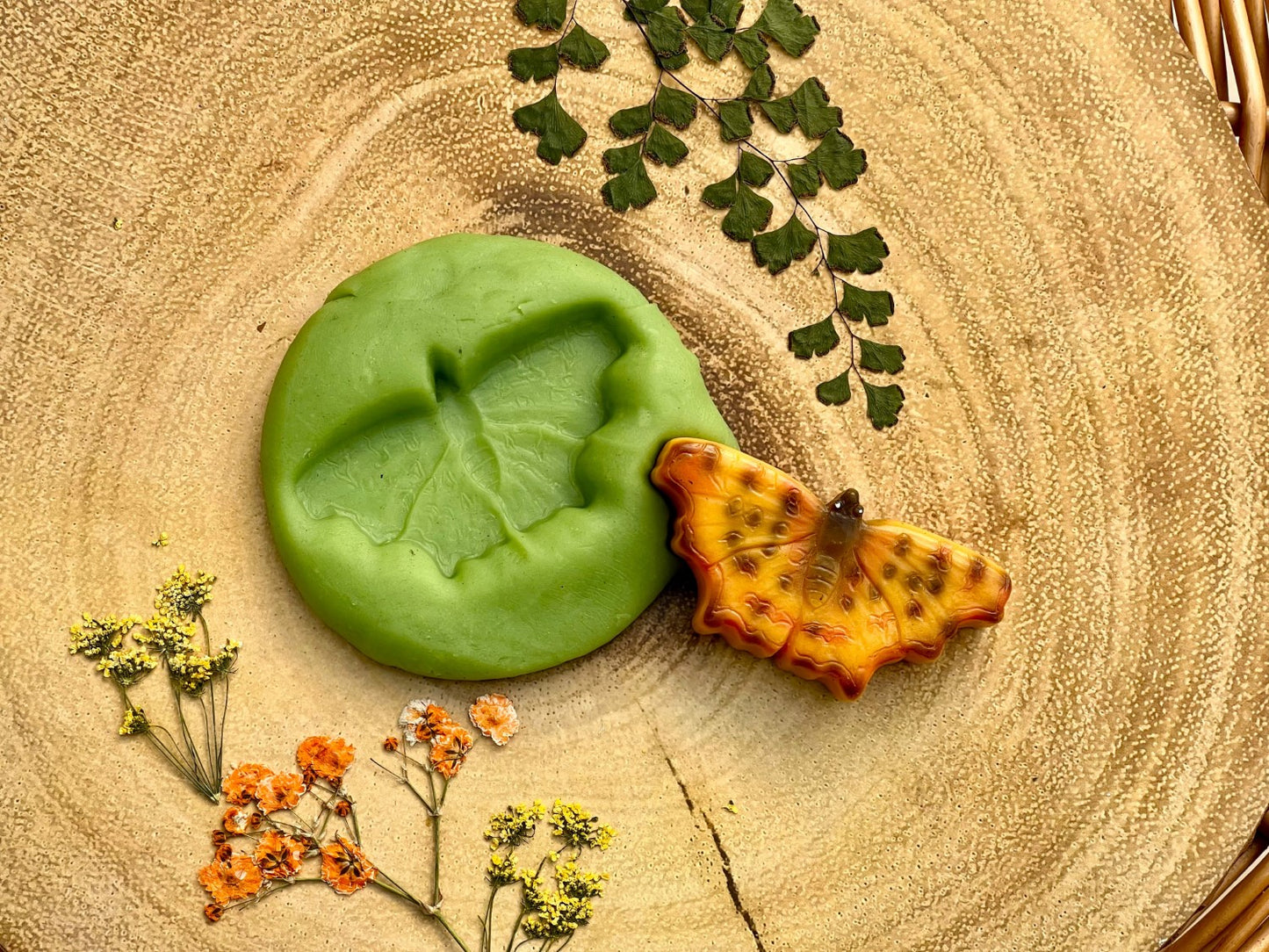 Zintuiglijke Speelstenen - Vlinders