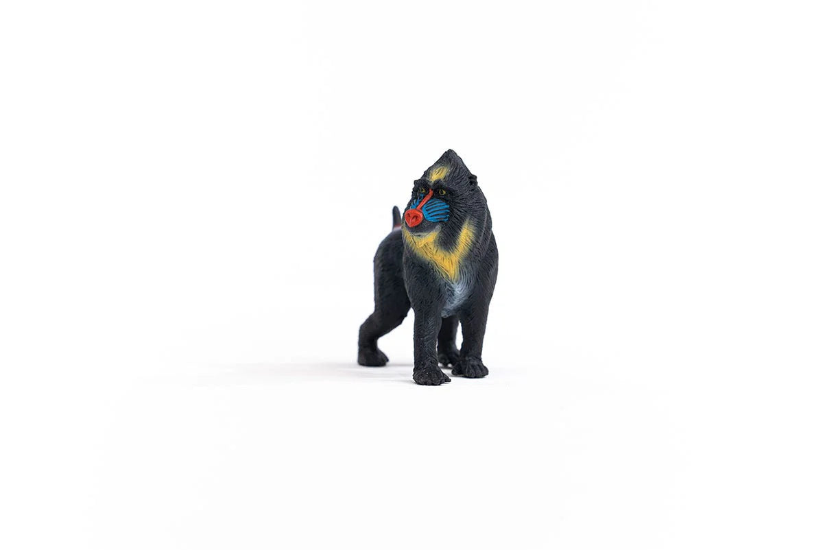 Mandril