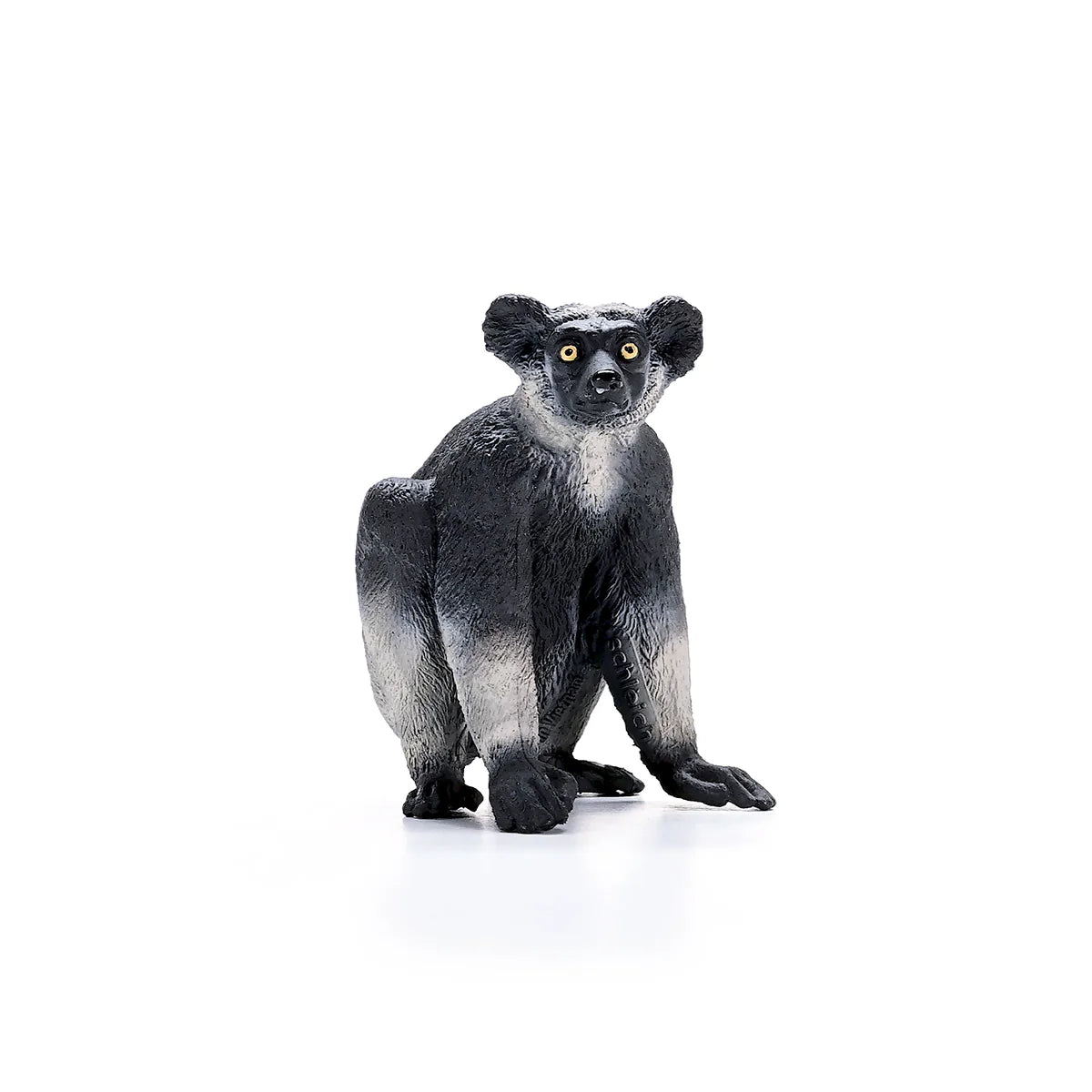 Indri