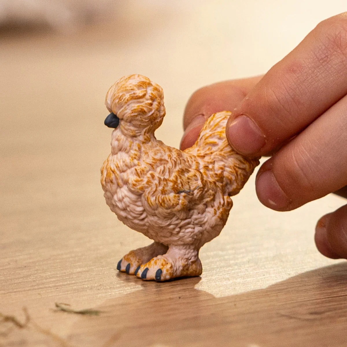 Silkie Chicken
