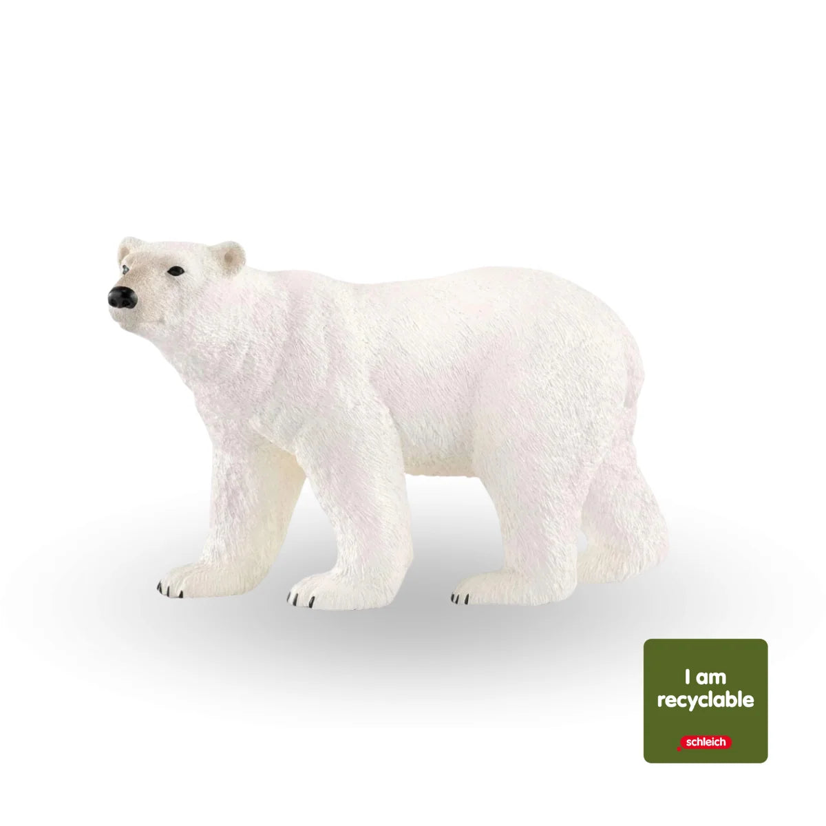 Polar Bear