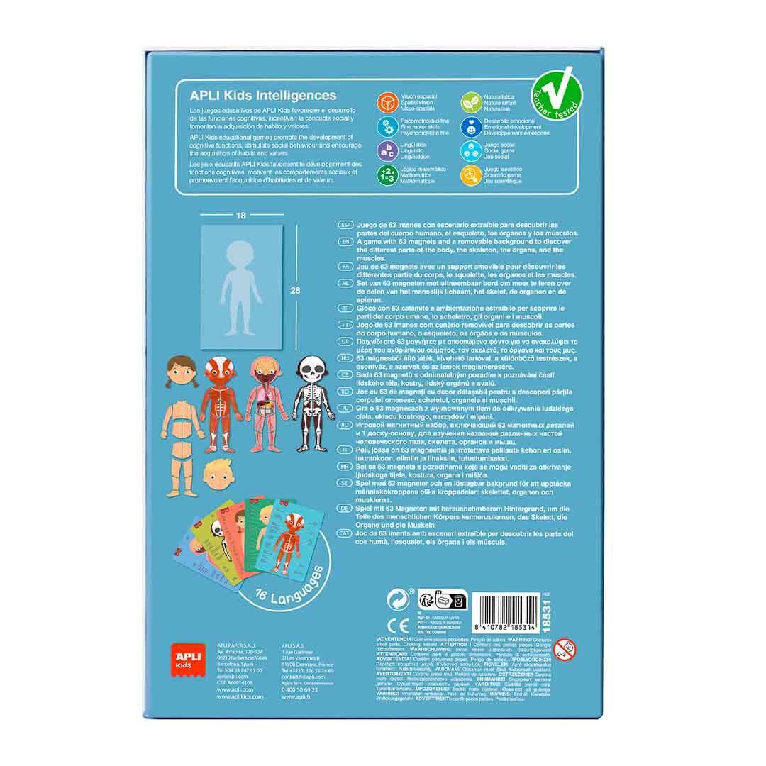 The Human Body magnets