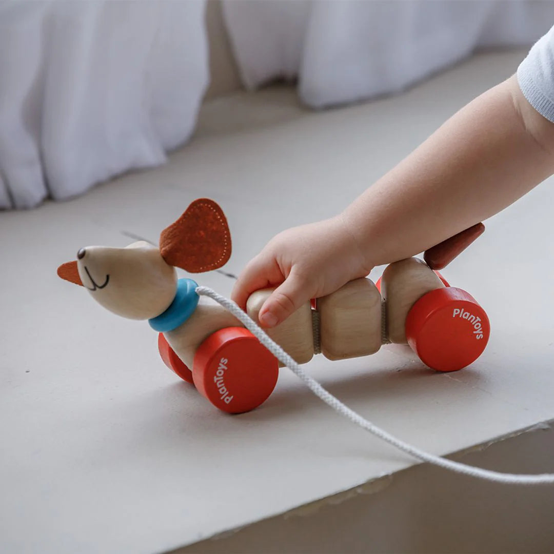 Blijde pup
