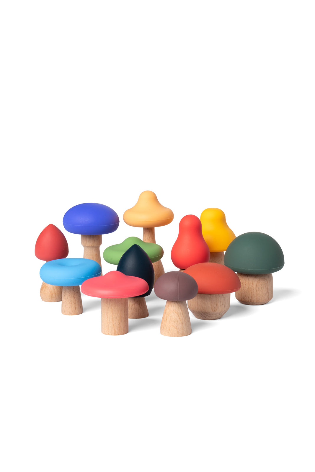 Mushrooms Full Color