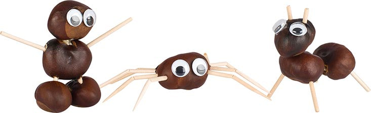 Castagnedrill en Notenkraker