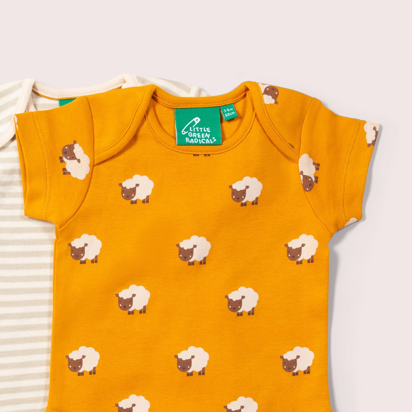 Lot de 2 bodies bébé bio « Counting Sheep »
