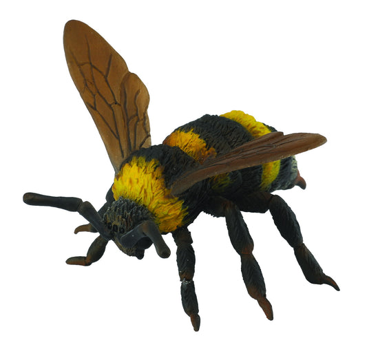 Hommel