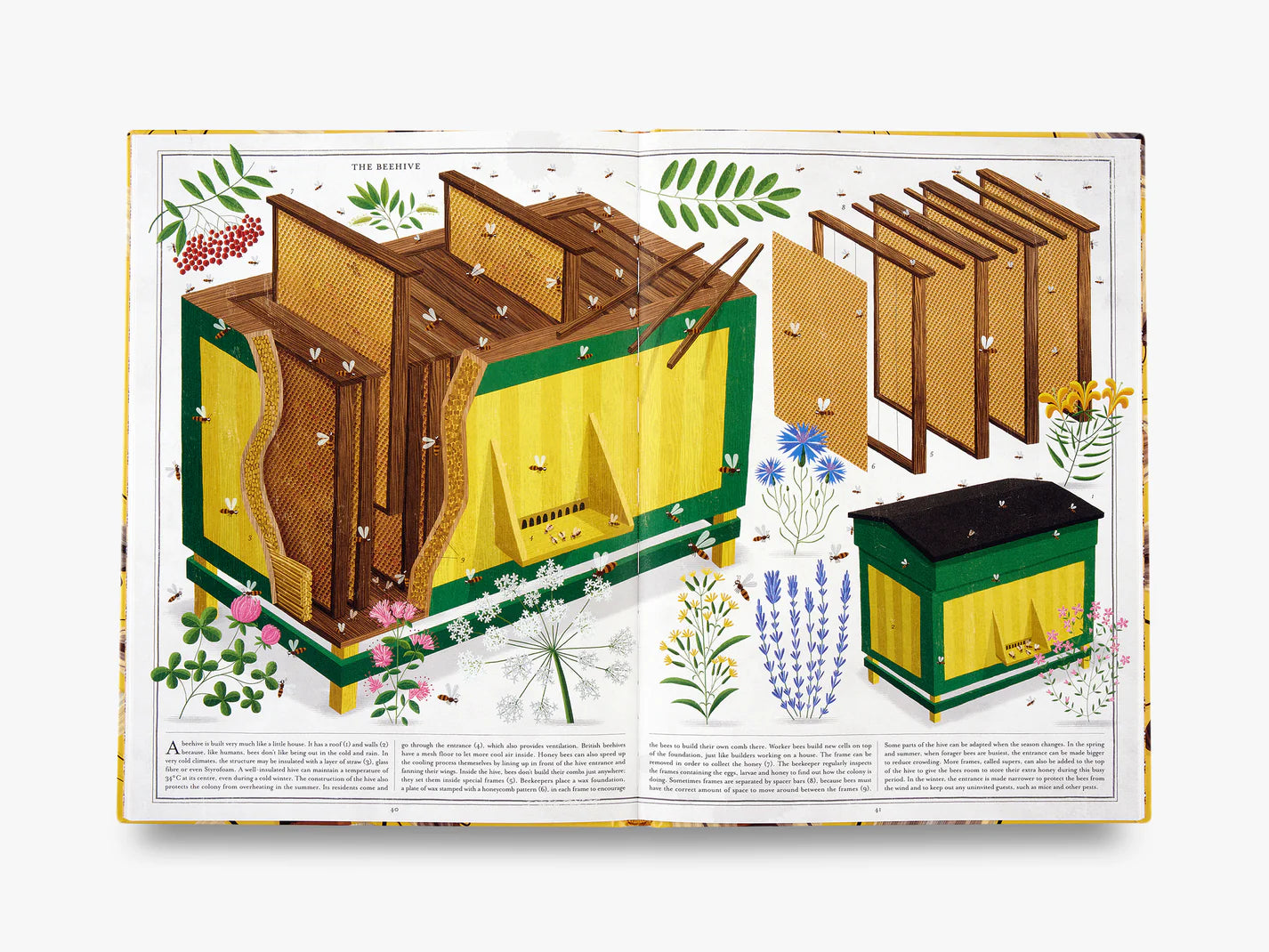 Het boek van de bijen