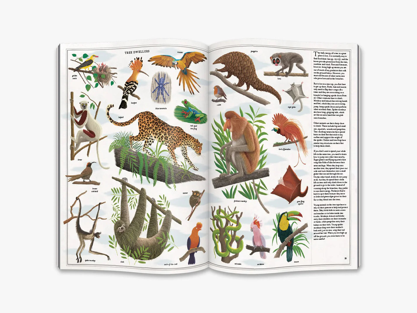 Het boek van bomen