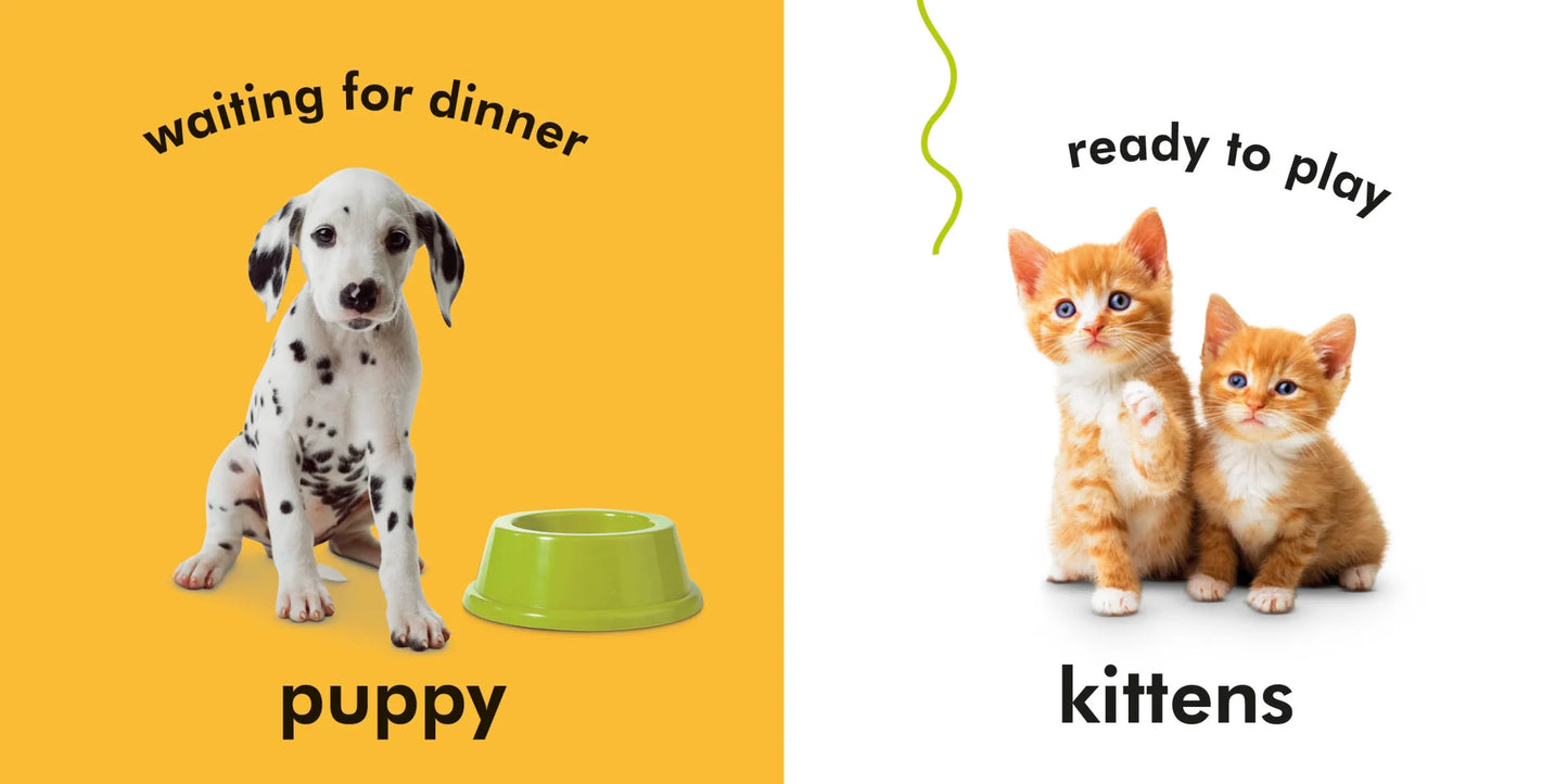 Baby Aanraken en Voelen Baby Dieren