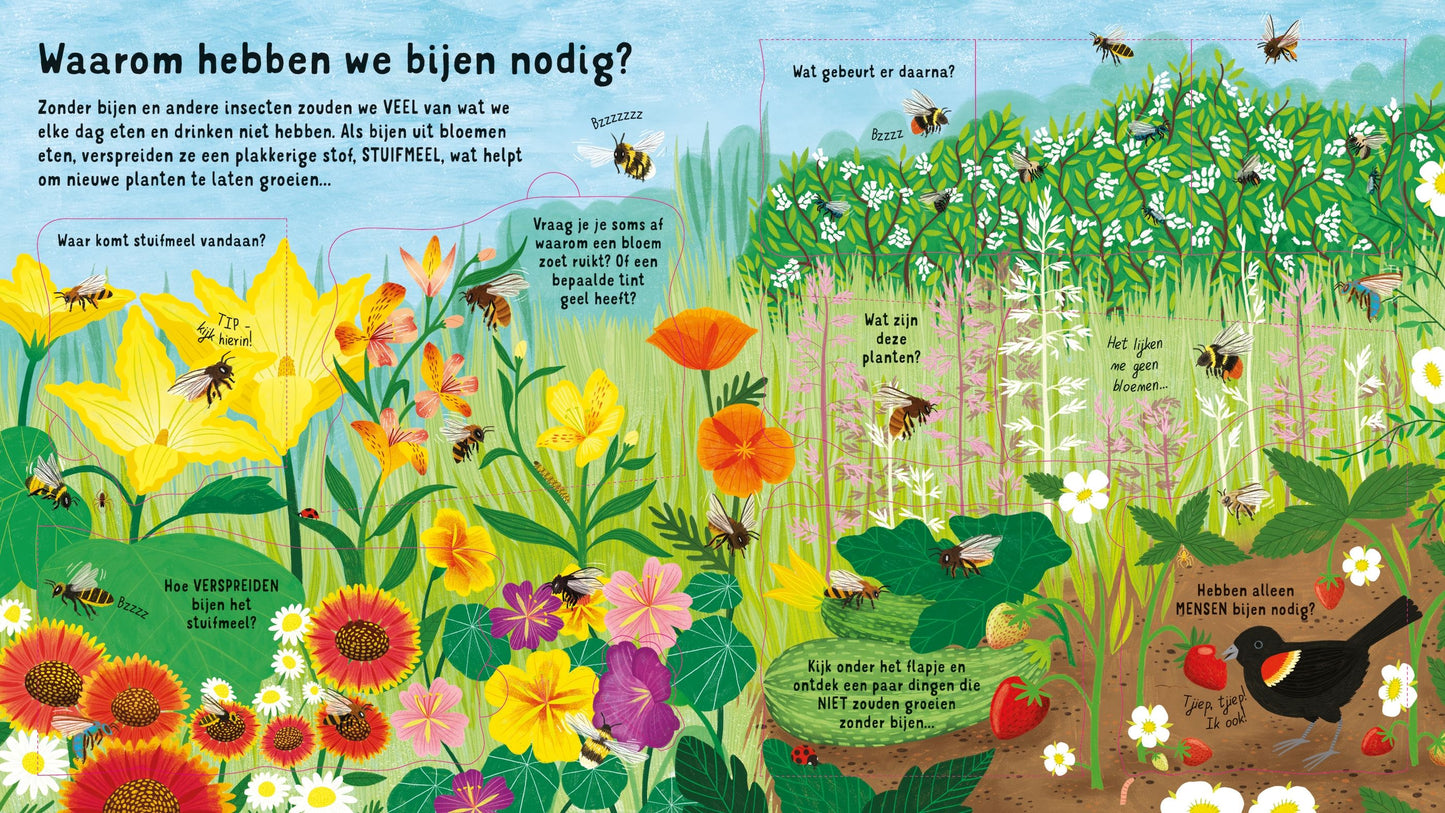 Kijk Binnen: De bijen Wereld