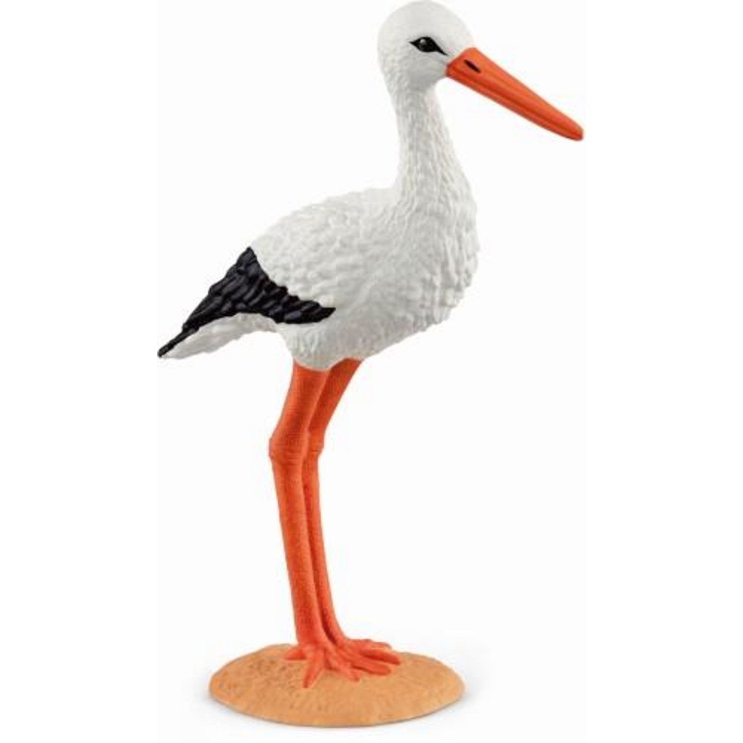 Stork