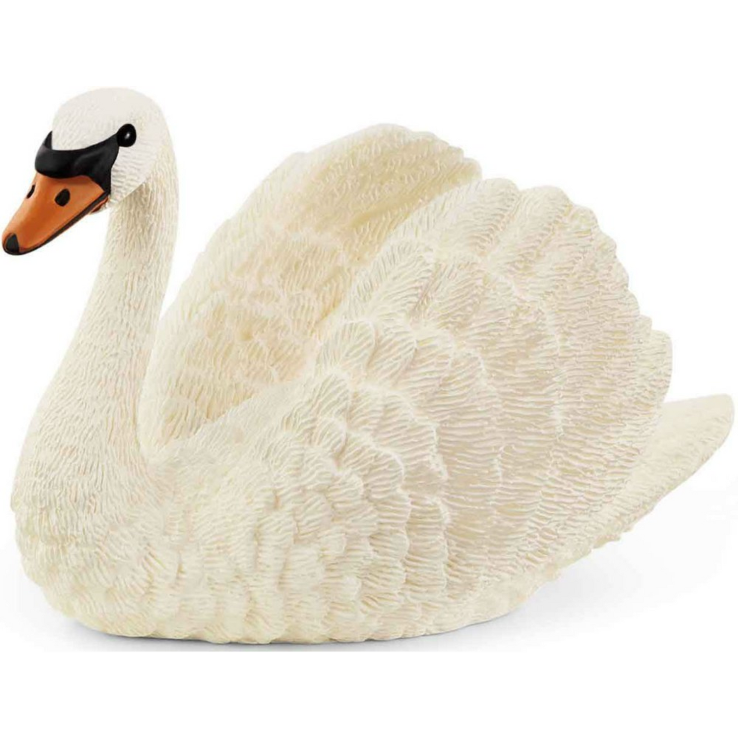 Zwaan