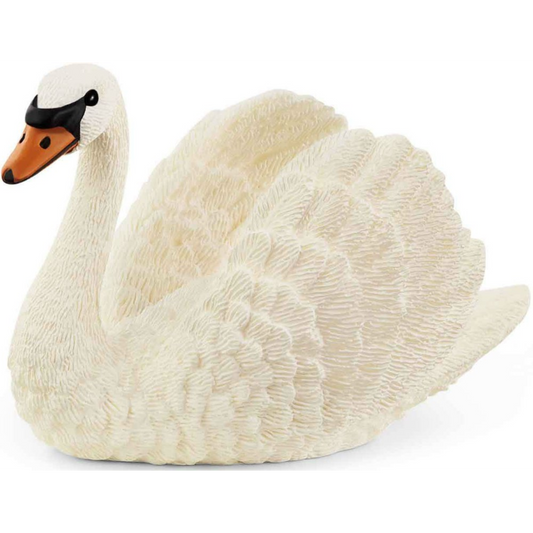 Zwaan