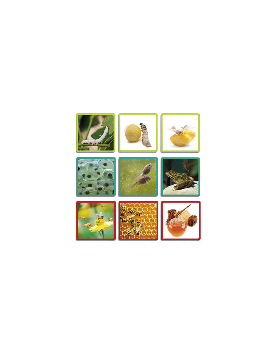 Nature Maxi Sequences