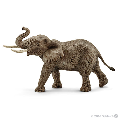 Afrikaanse Olifant