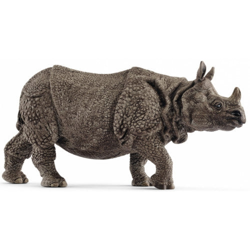 Rhinoceros