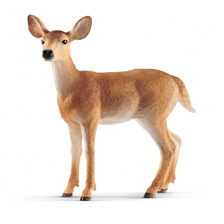 Virginia Deer