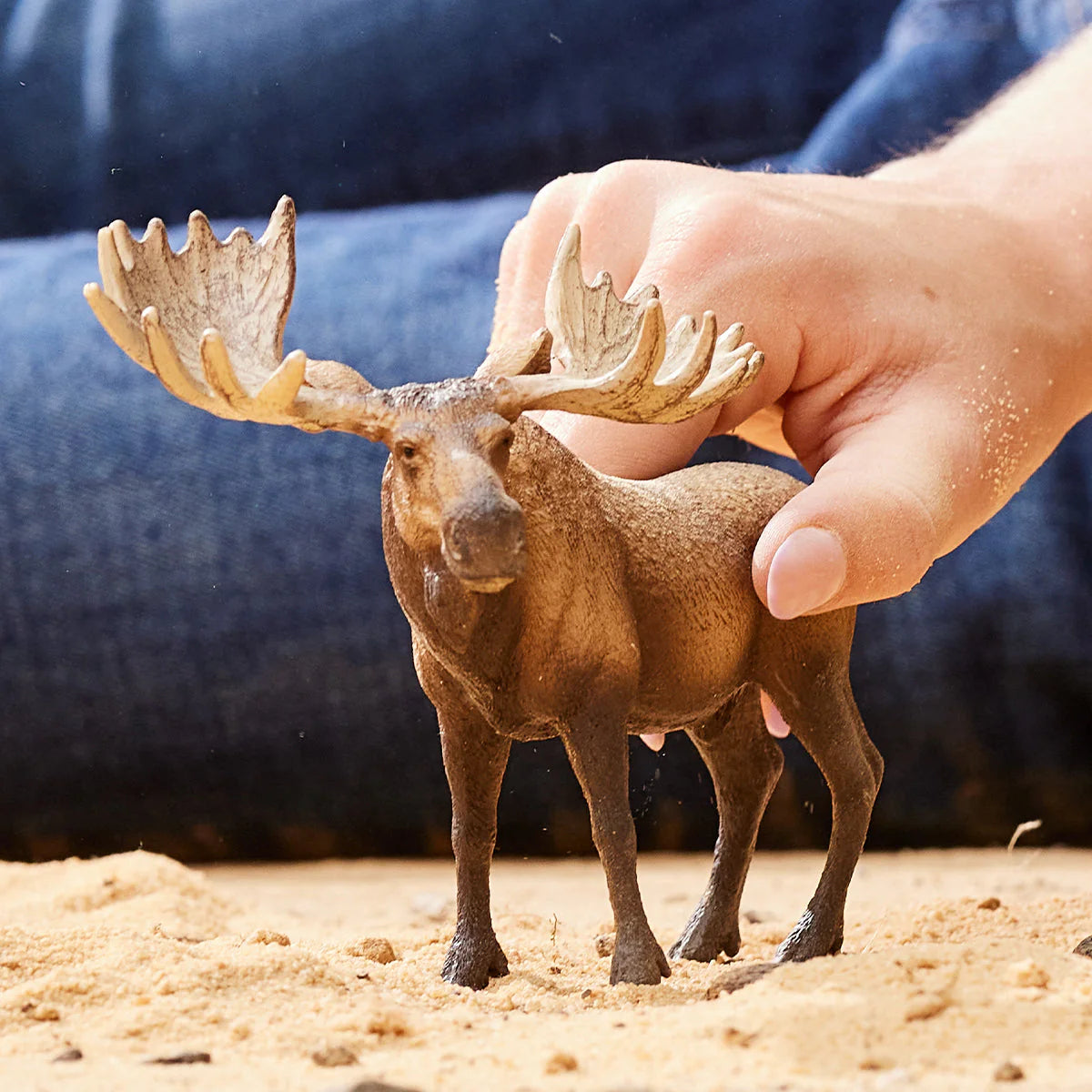 Moose bull