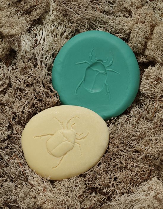 Laten we onderzoeken - Bugs