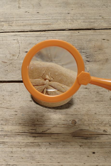 Laten we onderzoeken - Bugs