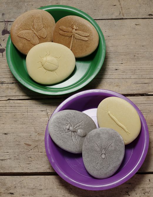 Laten we onderzoeken - Bugs