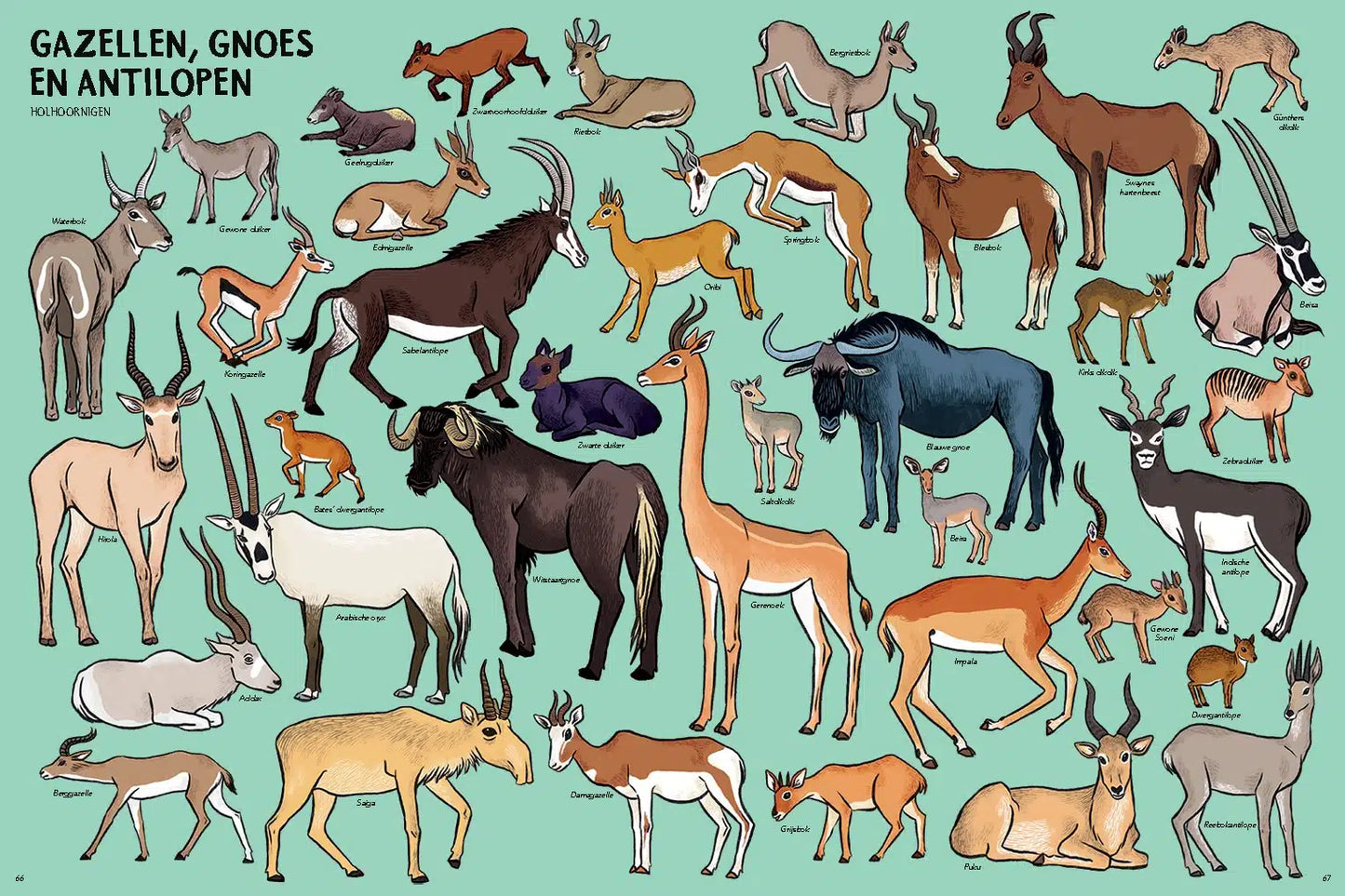 Zóveel dieren! Marlène Normand