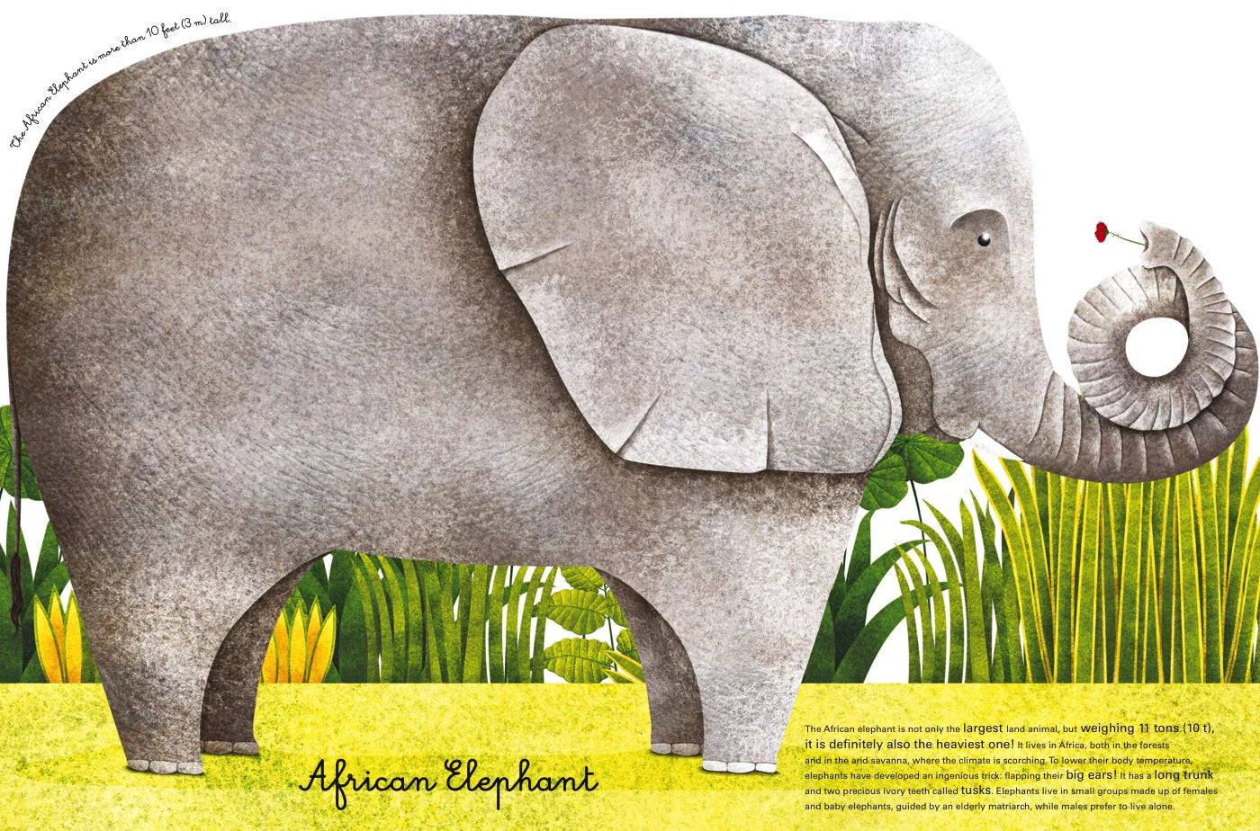 Het Grote Boek van Reusachtige Dieren