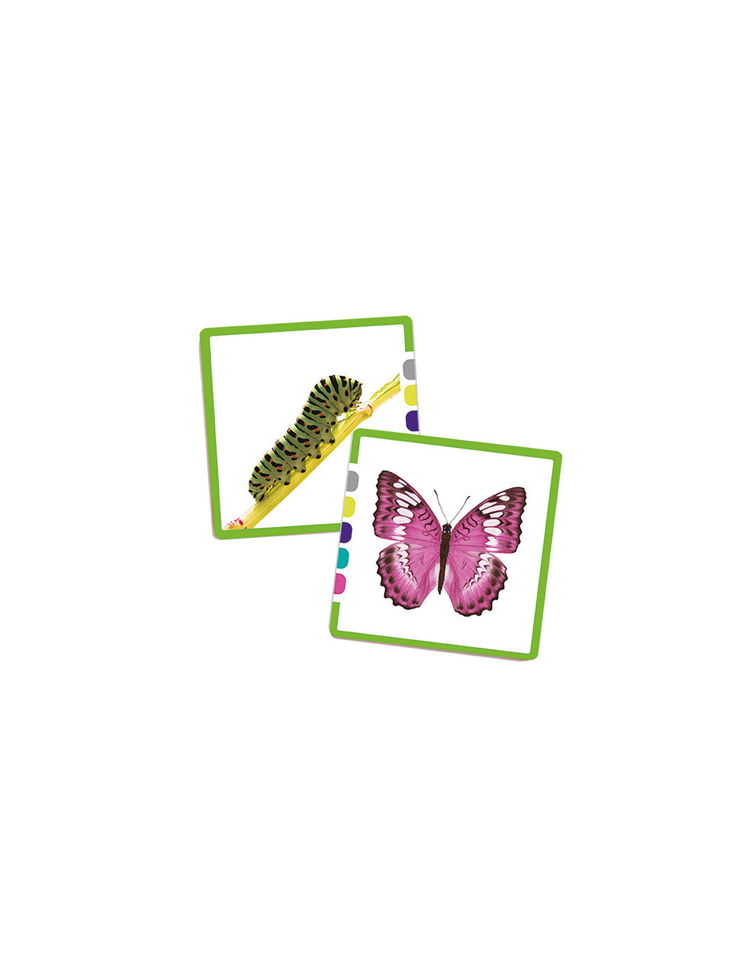 Verenigingen
