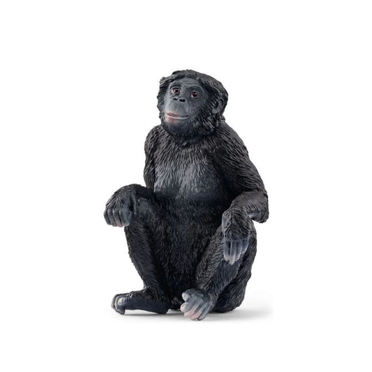 Bonobo
