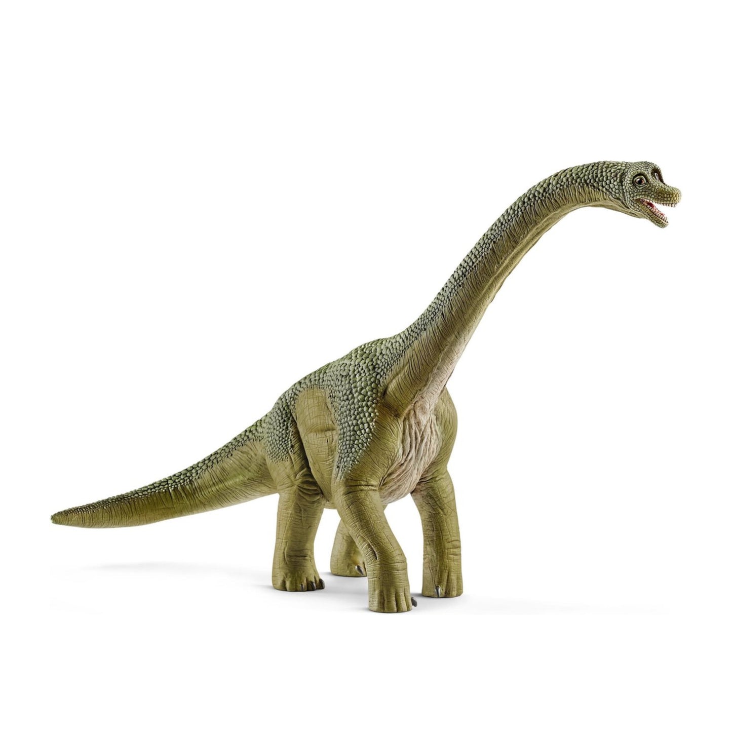 Brachiosaurus