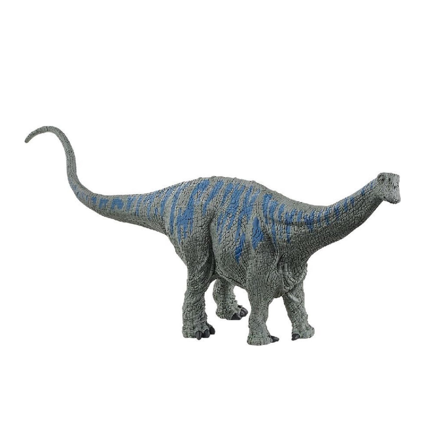 Brontosaurus