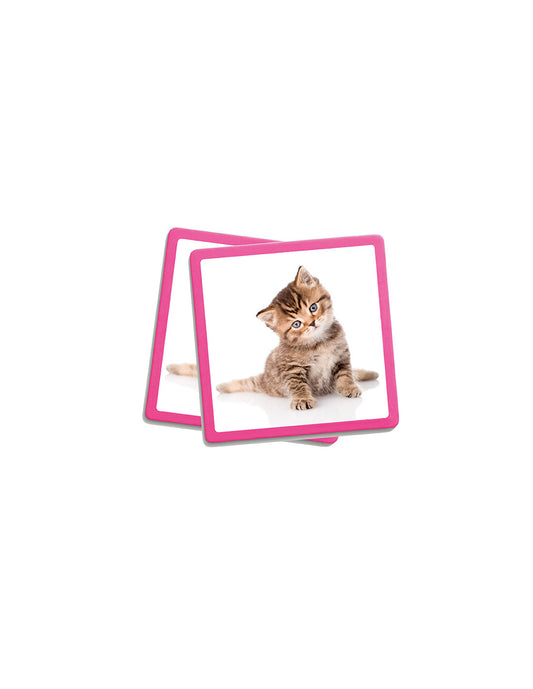 Maxi-Memory: Pets