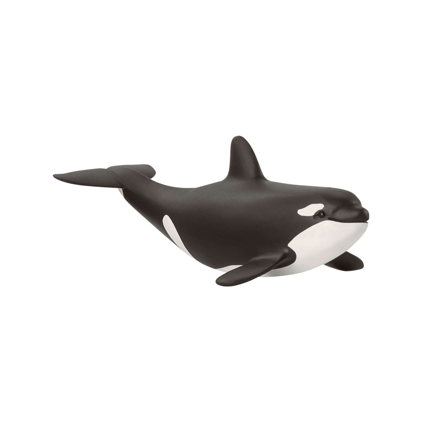 Baby Orka (normalizado)