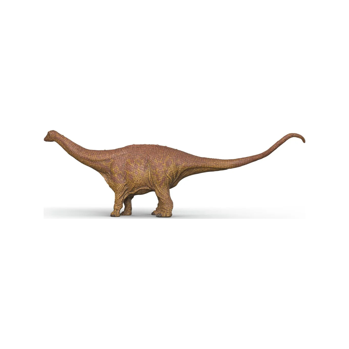 Brontosaurio (normalizado)