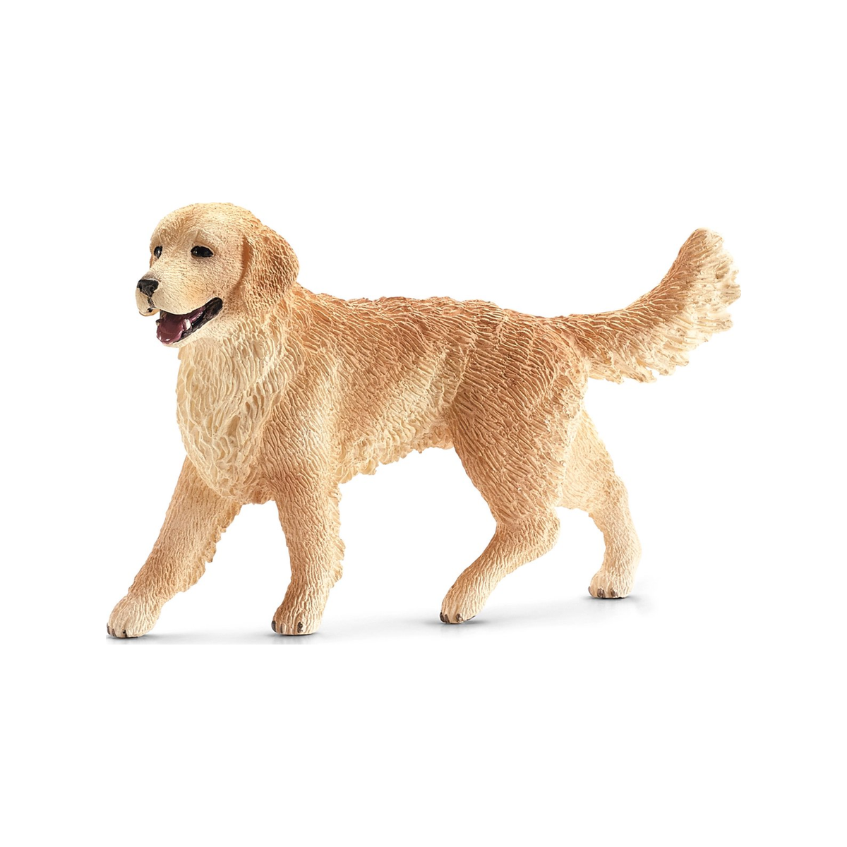 Perro golden retriever (normalizado)