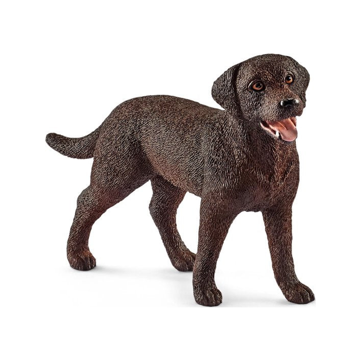 Perro labrador retriever (normalizado)