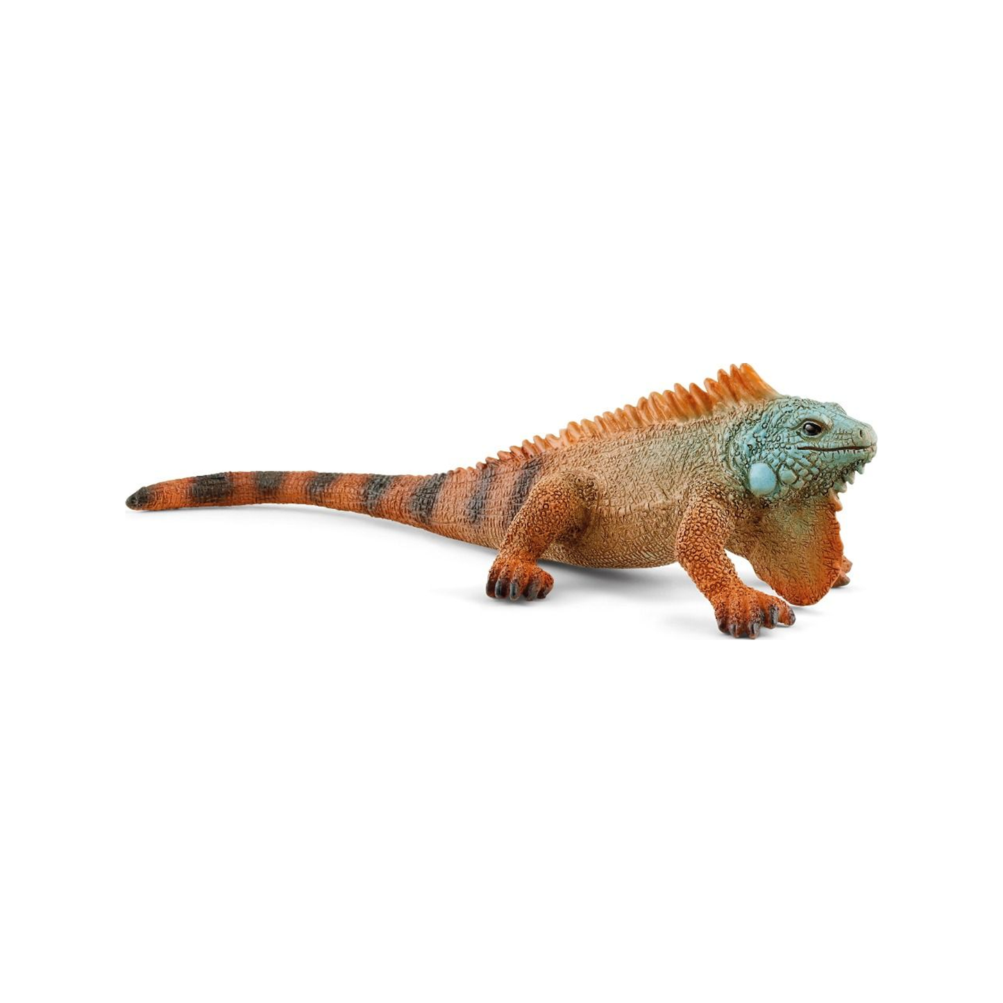 Iguana (normalizada)