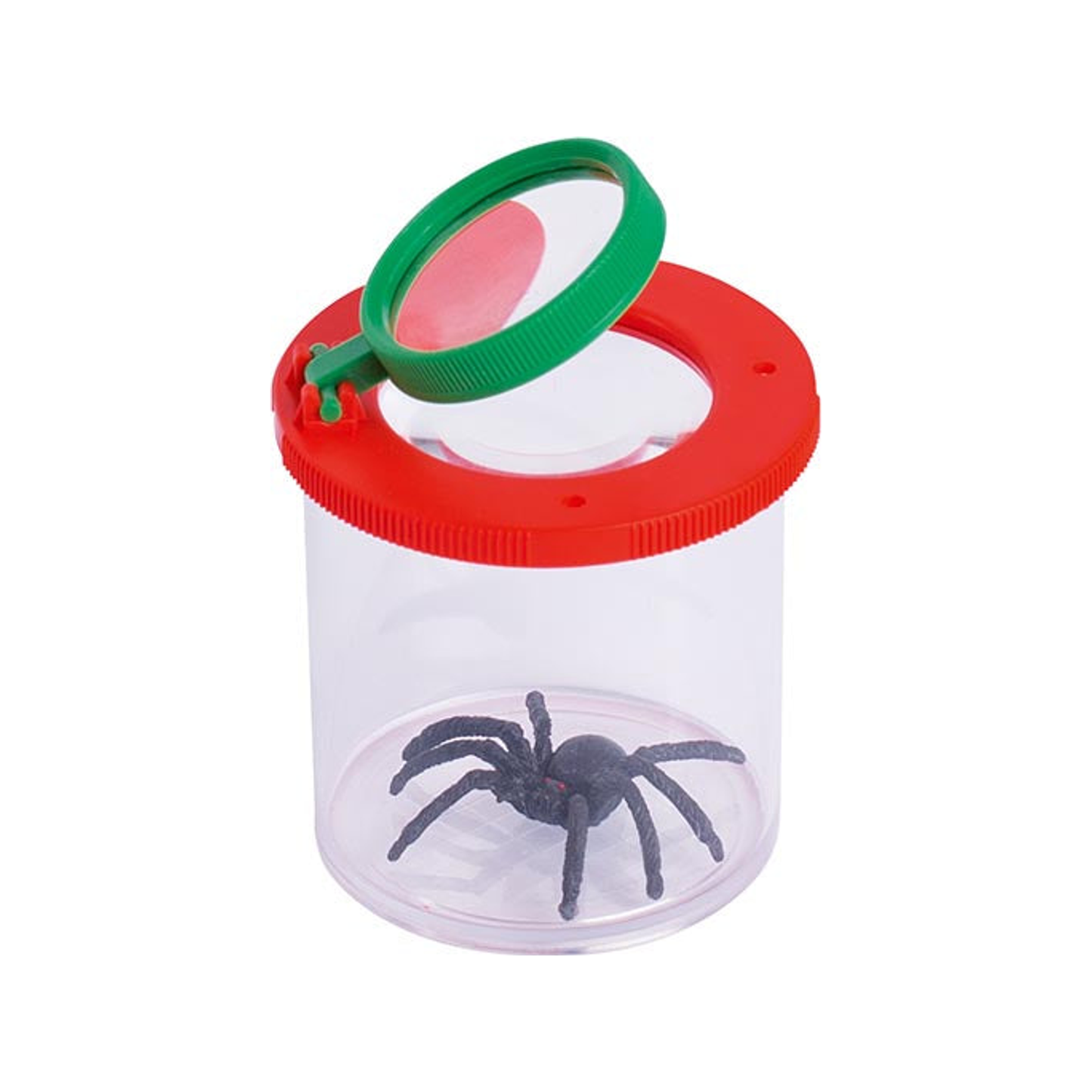 Magnifying Box (normalized)