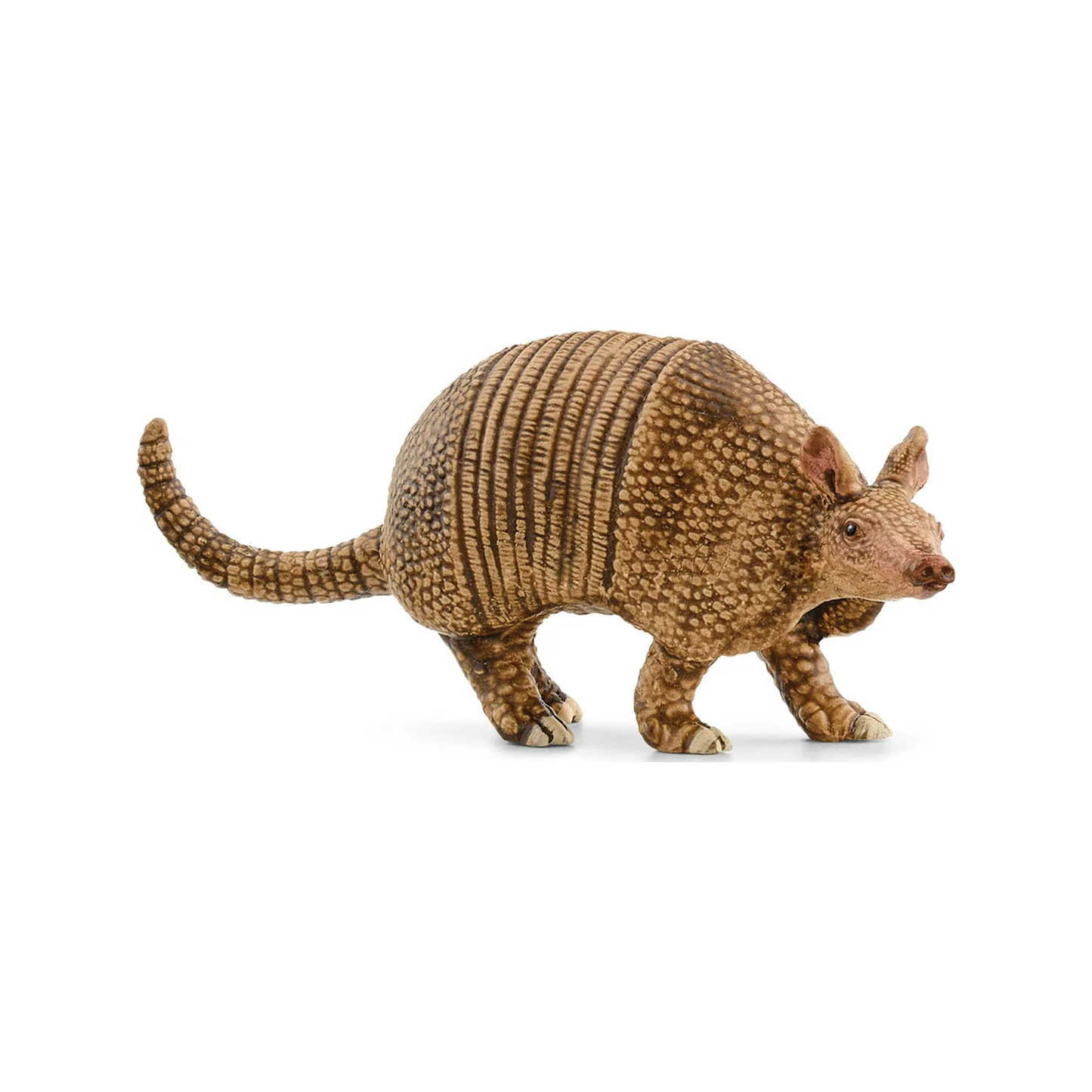 Armadillo (normalized)