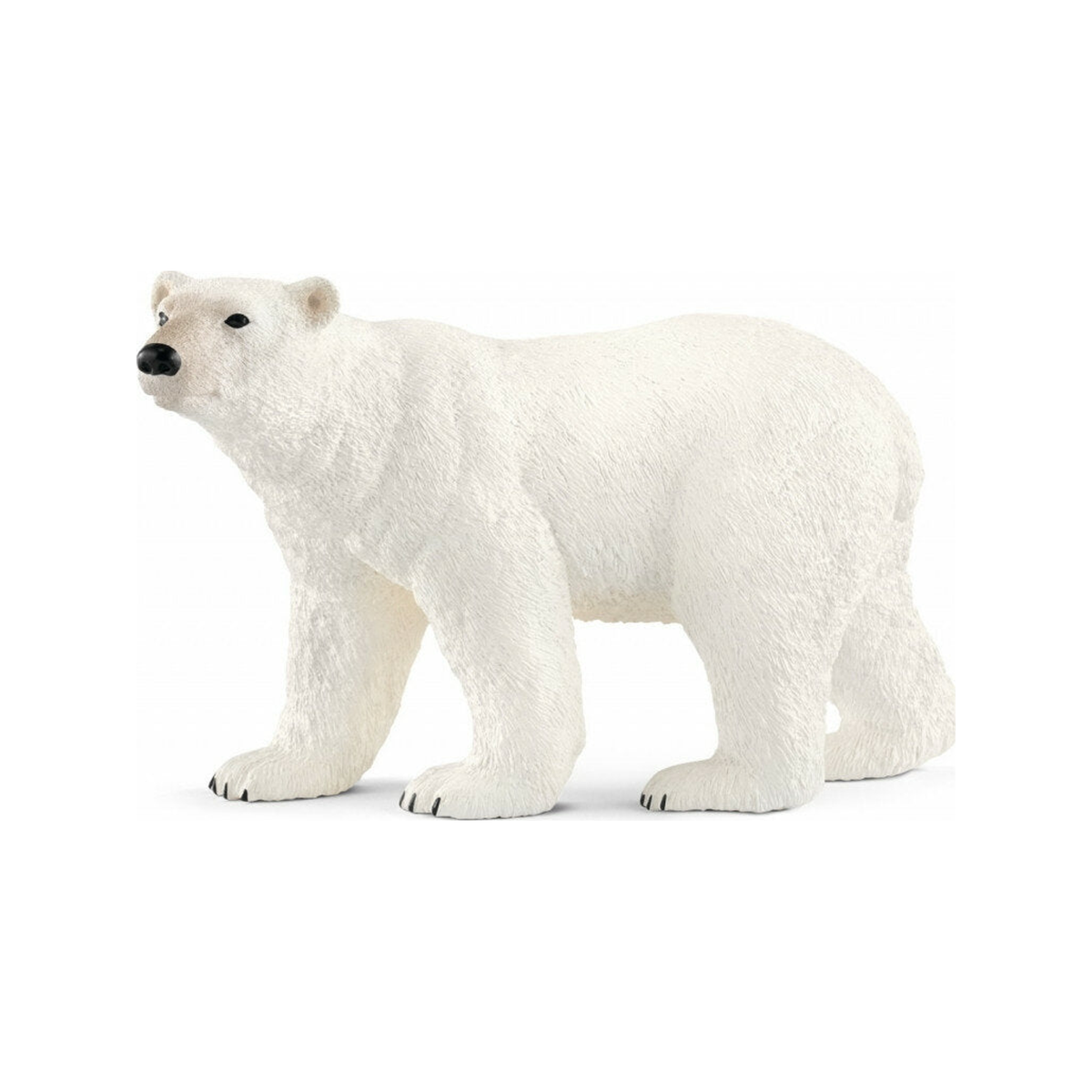 Oso polar (normalizado)