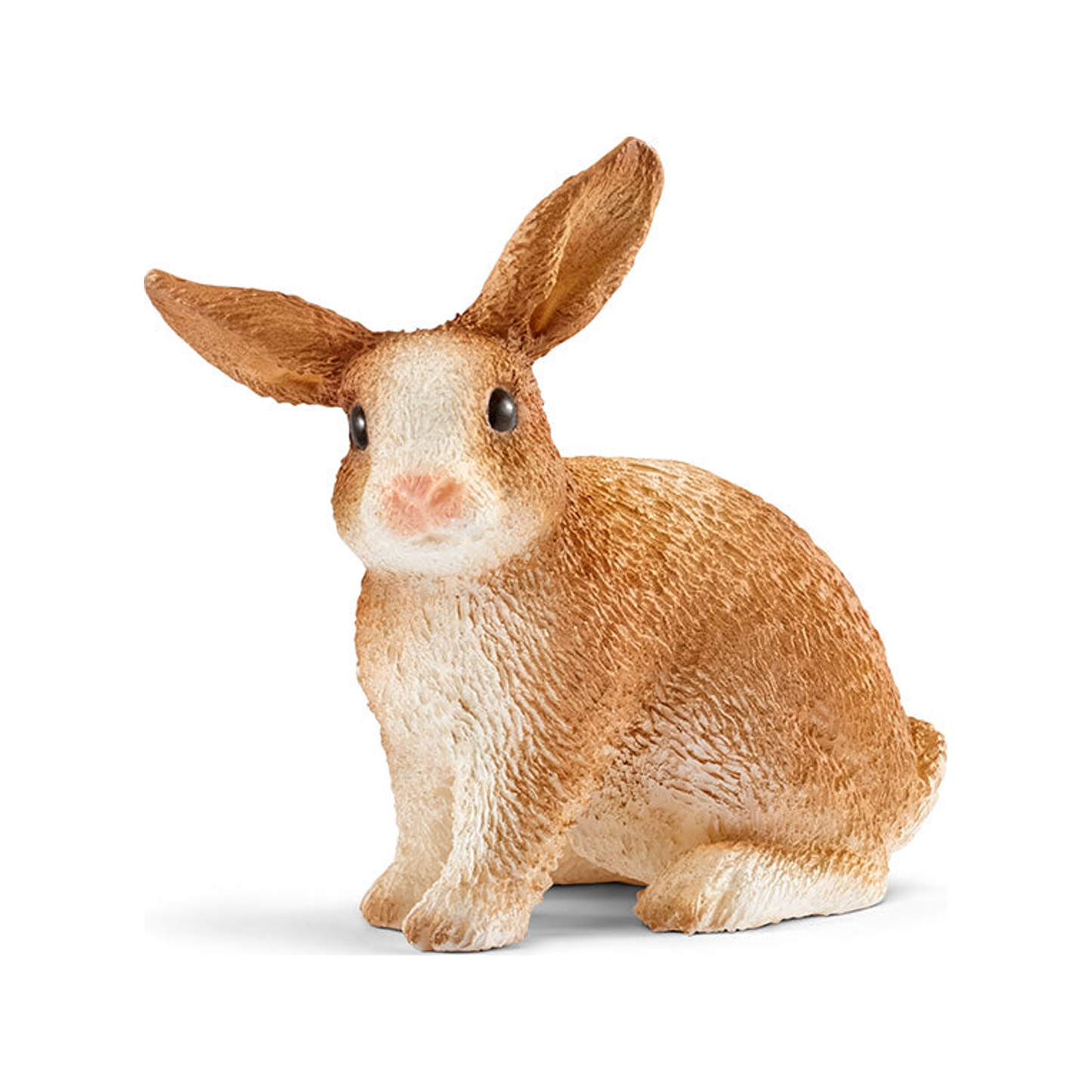 Conejo (normalizado)