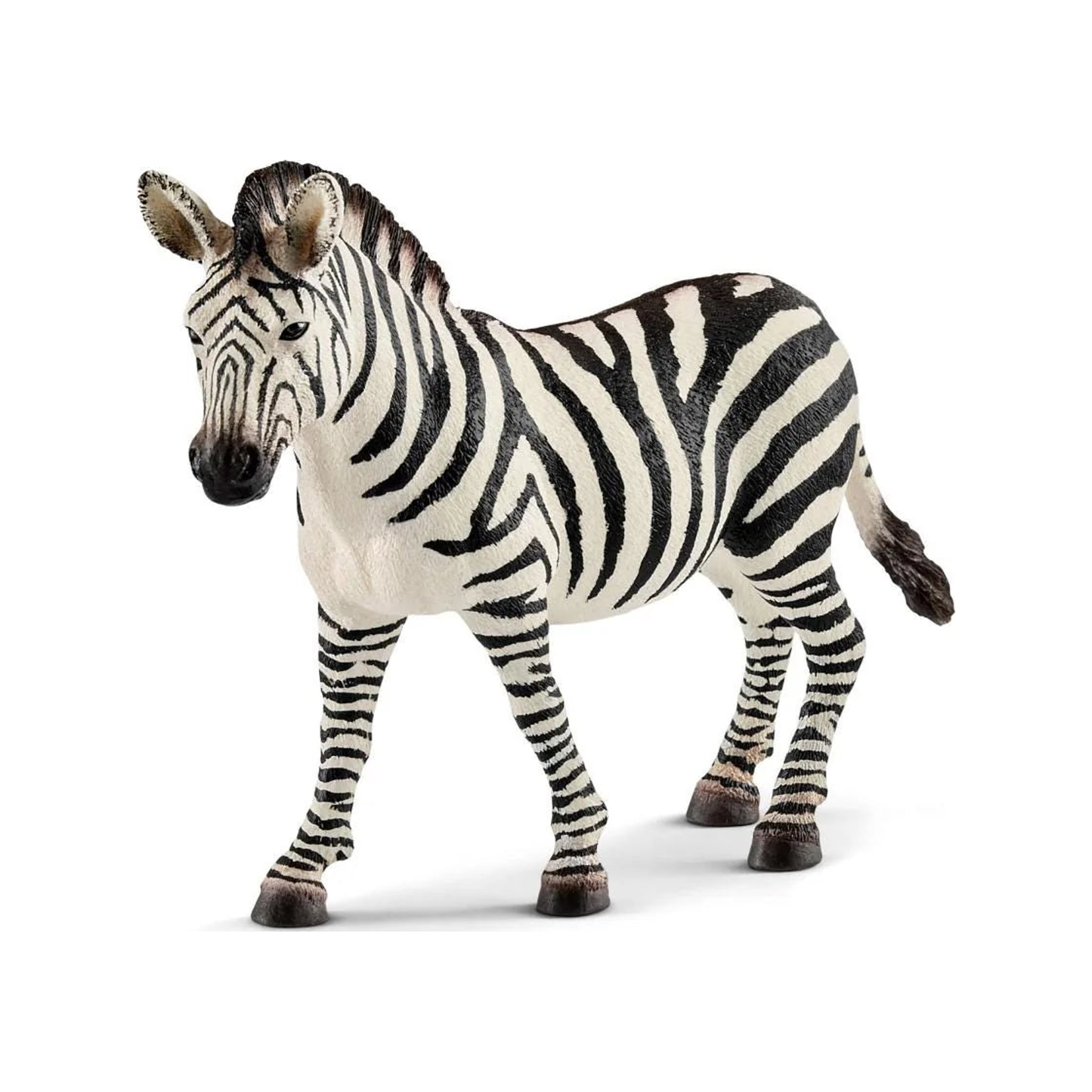 Zebra Female (normalized)