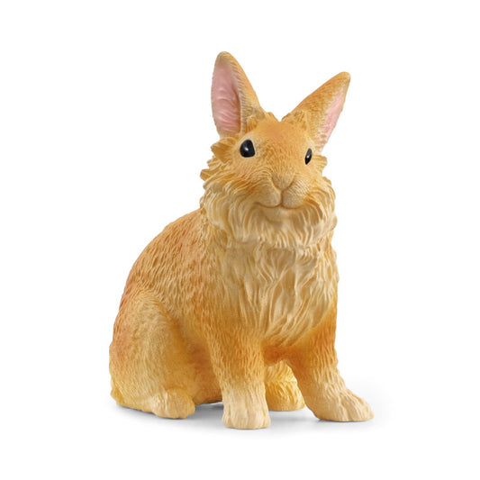 Lionhead Rabbit