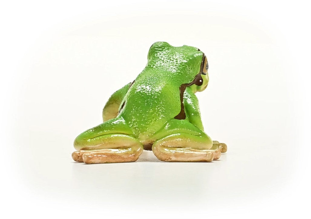 European Tree Frog