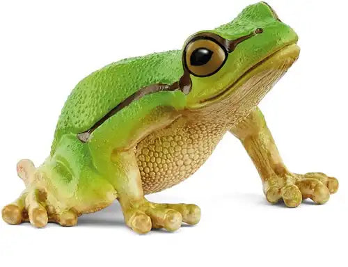 European Tree Frog